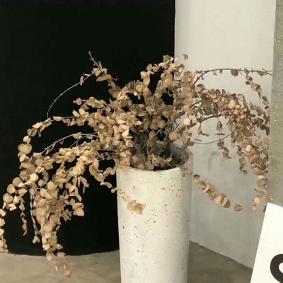 沅陵FurryQQ群介绍